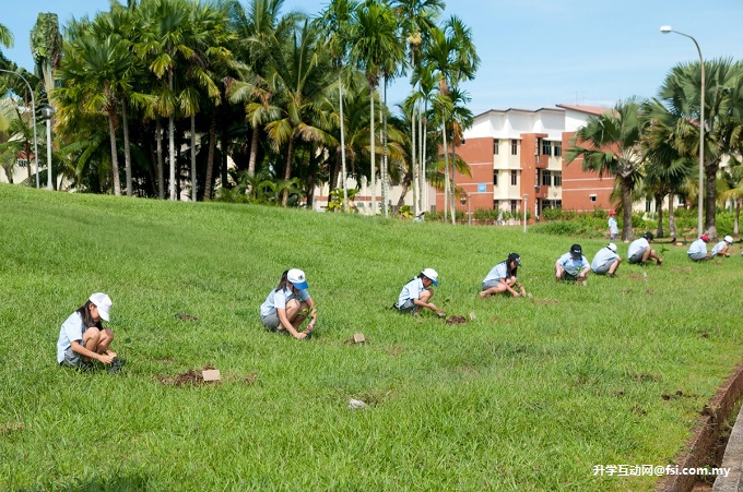 Curtin Sarawak, STB and others plant trees as part of jazz festival activities