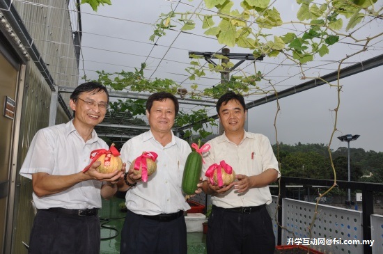 台湾中州科技大学 屋顶开心农园 有机蔬果DIY又可节能减碳