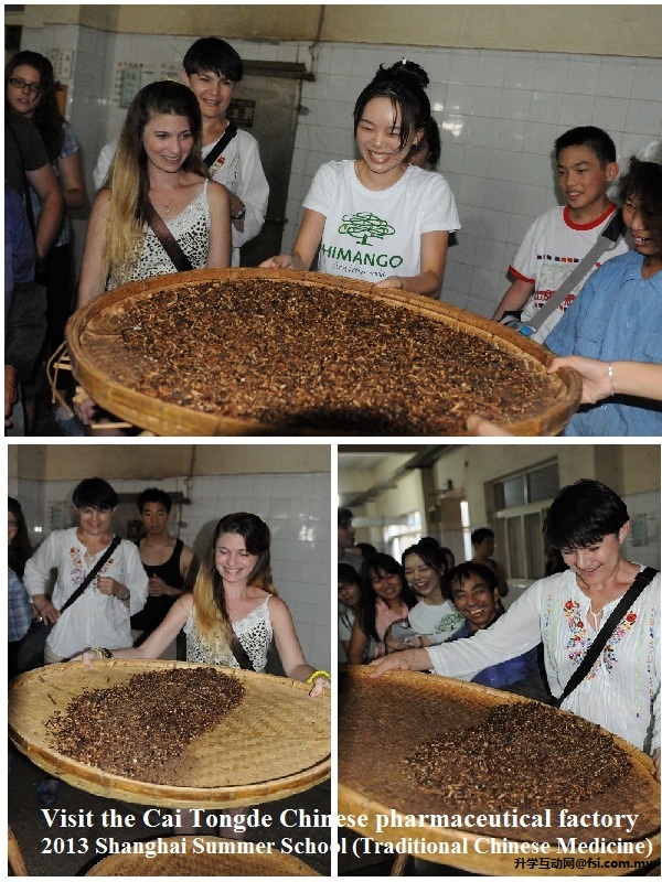 2013上海暑期学校（中医药项目）—— 在上海中医药大学顺利举办