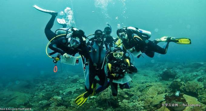 An underwater group photo upon completion of Reef Check survey (photo courtesy of Neil and Angela Hadfield).