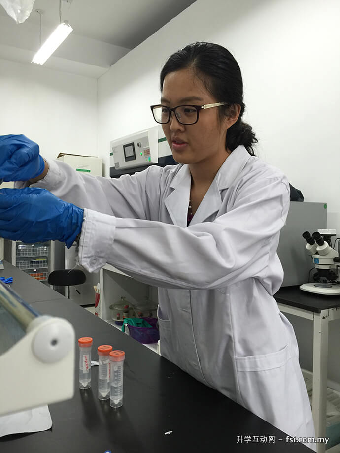 张淑俐积极参与DNA纳米技术（DNA nanotechnology）研究项目，冀望能在蛋白质结晶的研发过程取得新突破。