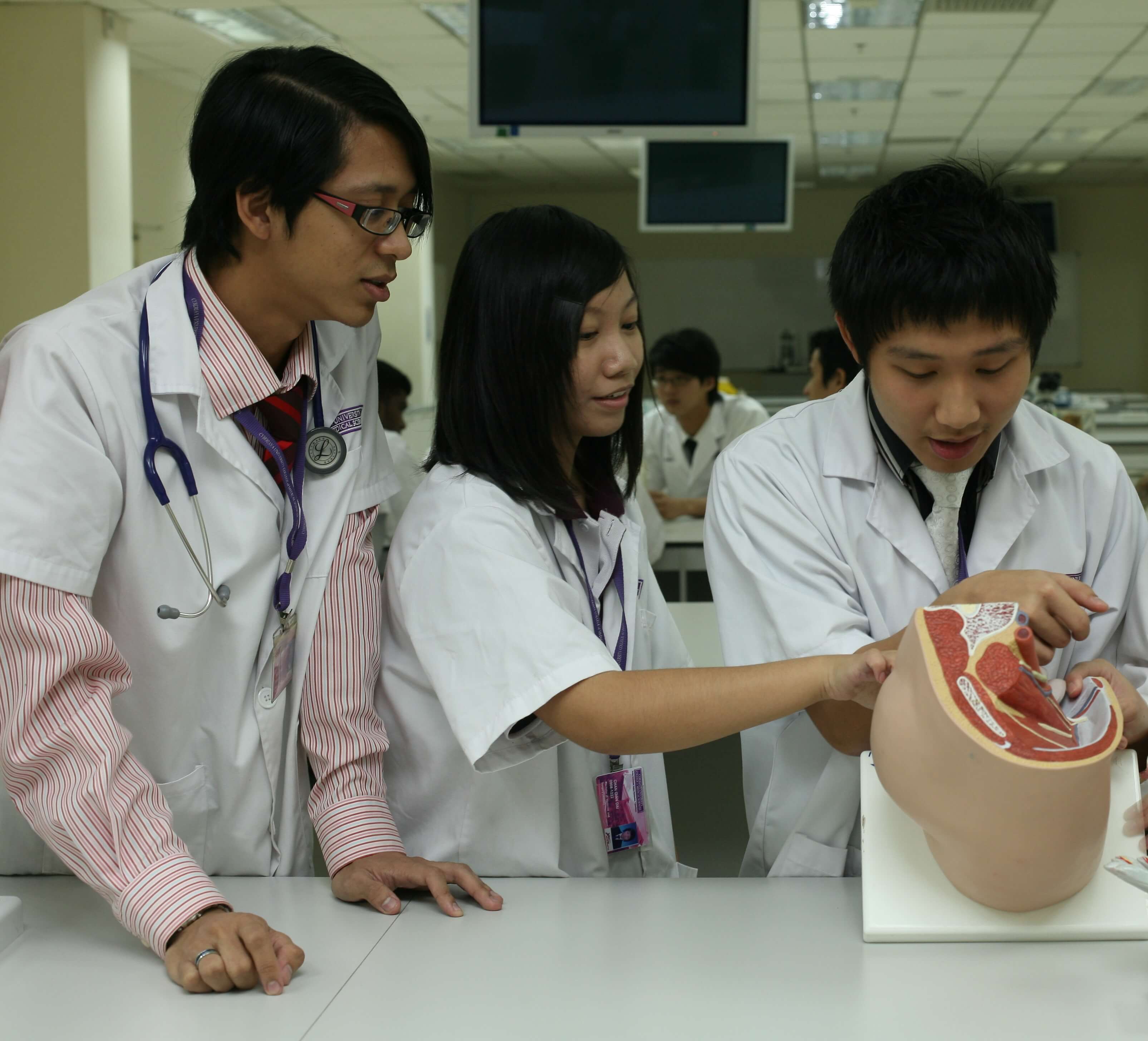 CUCMS教学课程注重学生的实践经验。图为学生正在实验室里学习人体解剖学。
