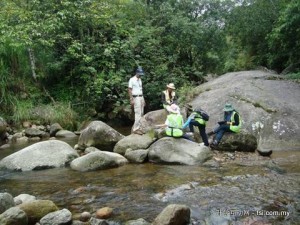 Curtin Sarawak-Surveying the Mesilau River