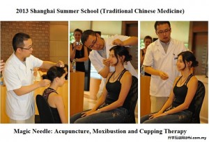 2013上海暑期学校（中医药项目）—— 在上海中医药大学顺利举办